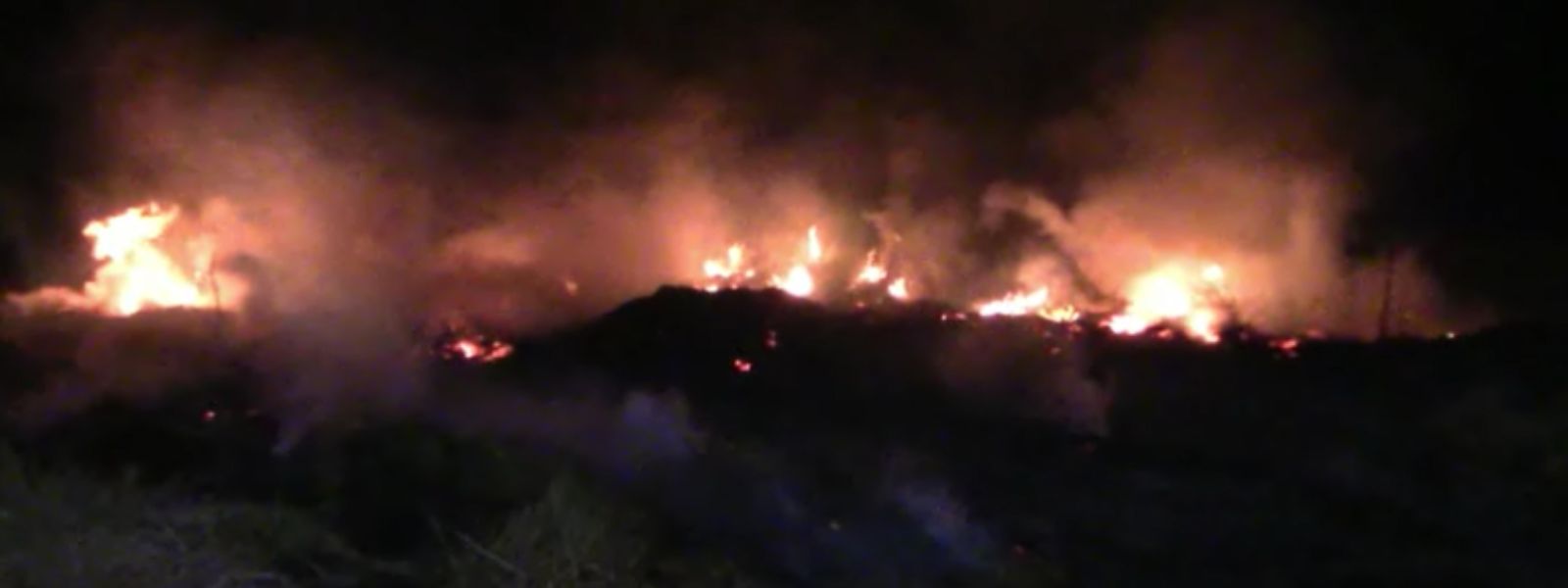 Wetland Blaze Contained After Overnight Battle